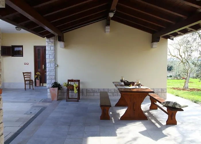 Lemon And Orange Novigrad Istria